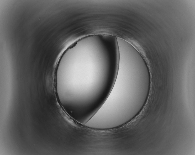 X0000087310816200704200716