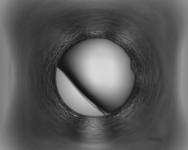 X0000087310817200704200716