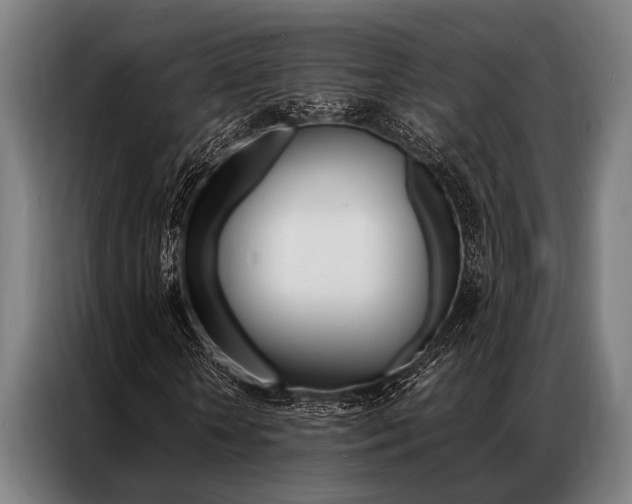 X0000087310818200704200716