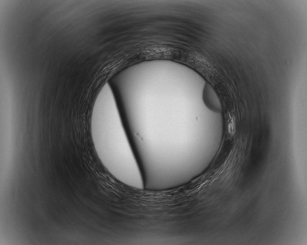 X0000087310819200704200716
