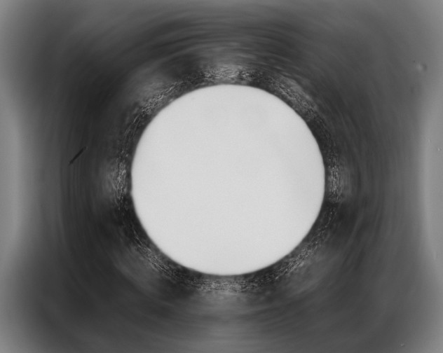 X0000087310820200704200716