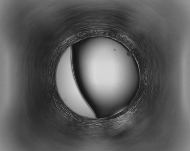 X0000087310821200704200716