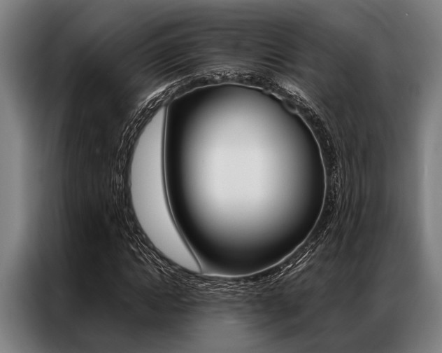 X0000087310822200704200716