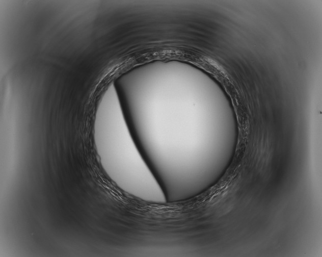 X0000087310823200704200716