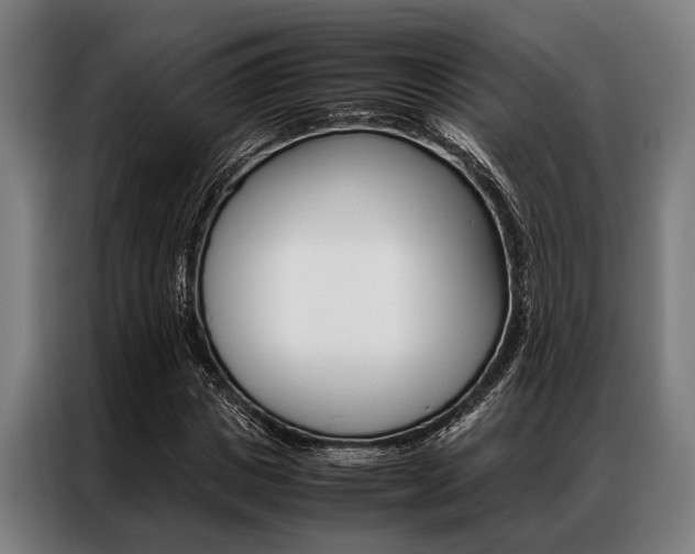 X0000087310825200704200716