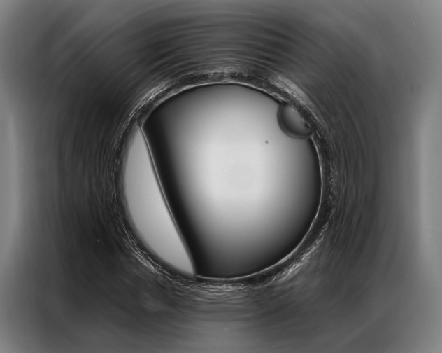 X0000087310826200704200716