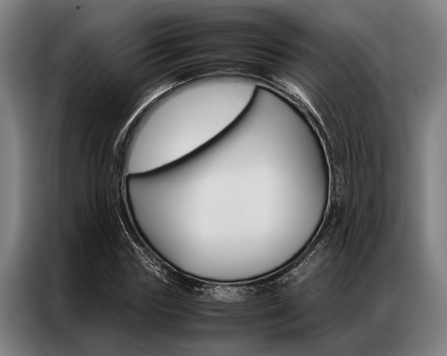X0000087310827200704200716