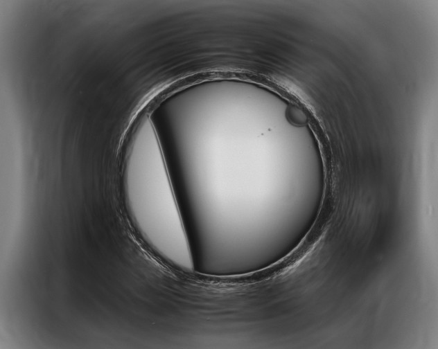 X0000087310829200704200716