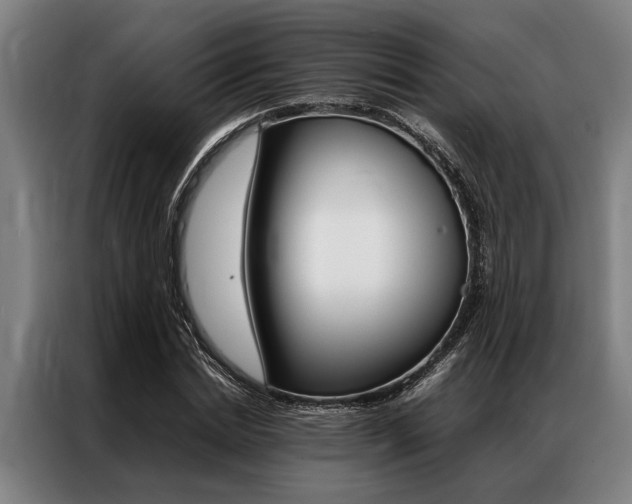 X0000087310830200704200716