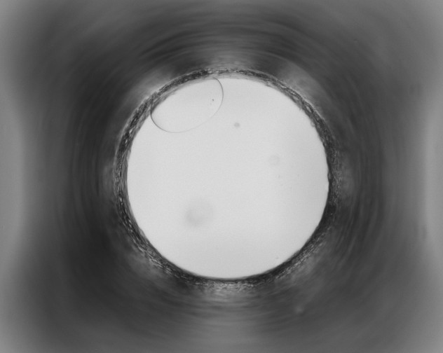 X0000087310832200704200716