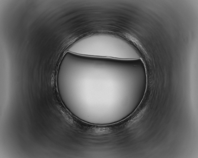 X0000087310833200704200716