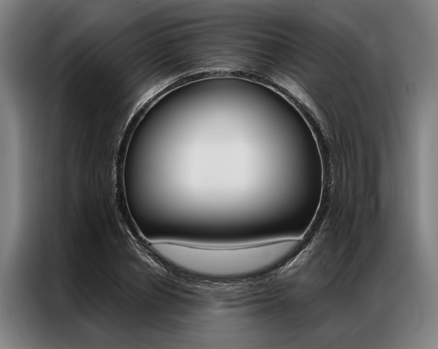 X0000087310834200704200716
