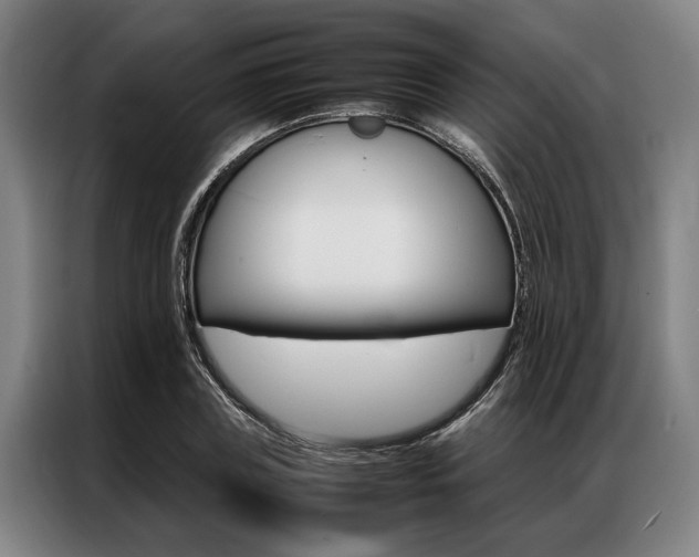 X0000087310835200704200716