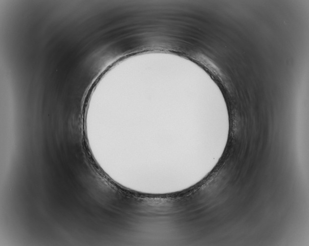 X0000087310836200704200716