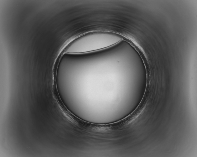 X0000087310837200704200716