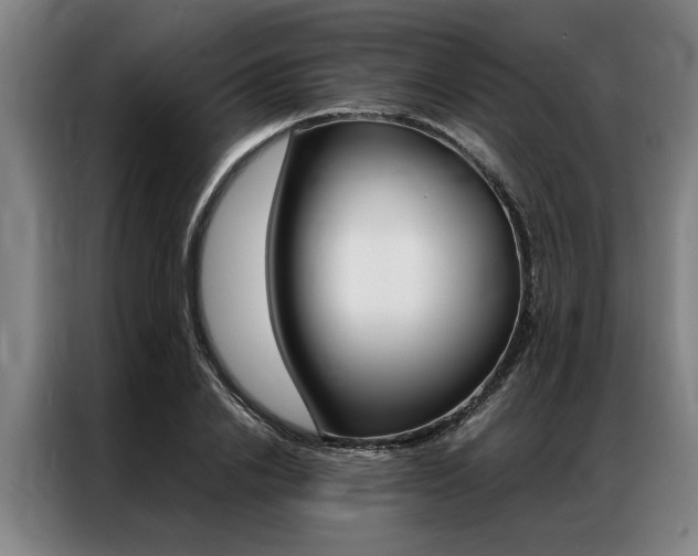 X0000087310838200704200716