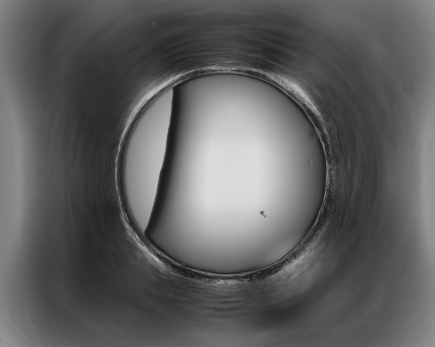 X0000087310839200704200716