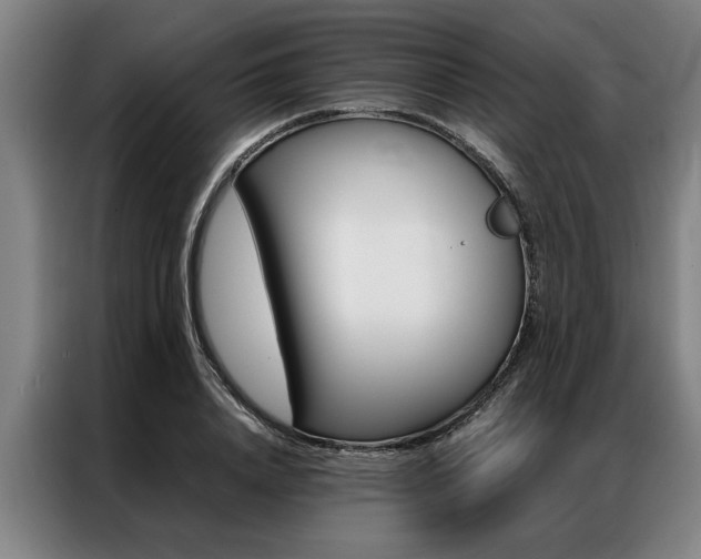 X0000087310840200704200716