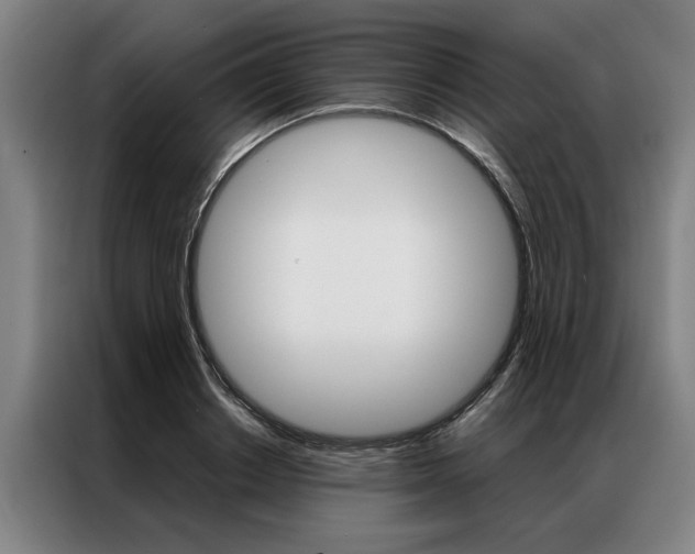 X0000087310842200704200716