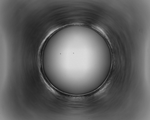 X0000087310843200704200716