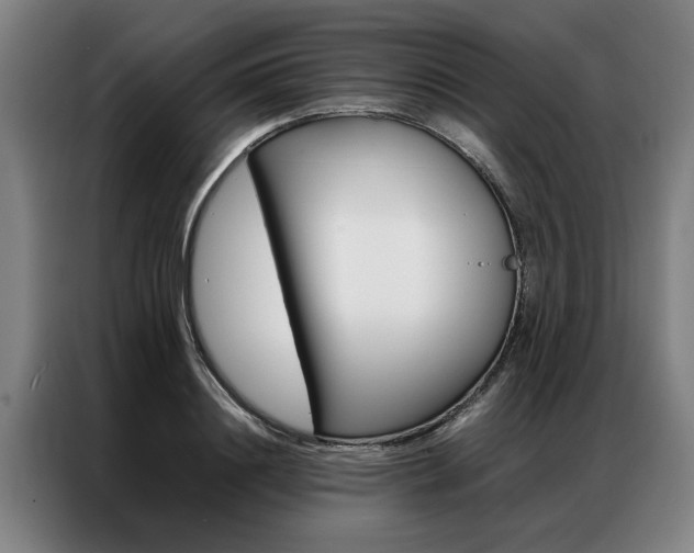 X0000087310844200704200716