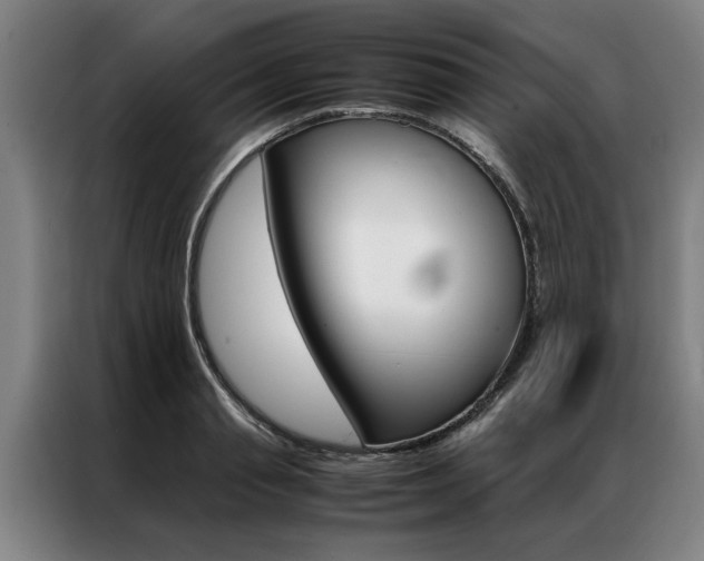 X0000087310845200704200716