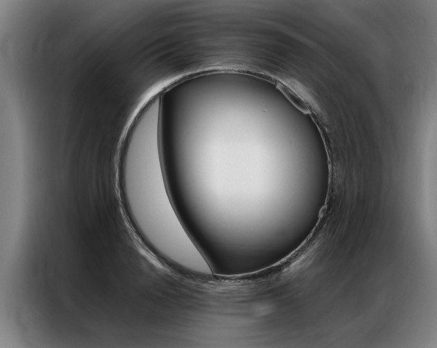 X0000087310846200704200716
