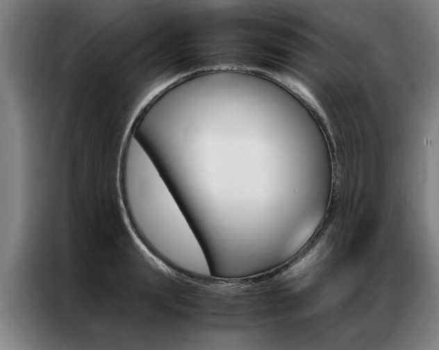 X0000087310847200704200716