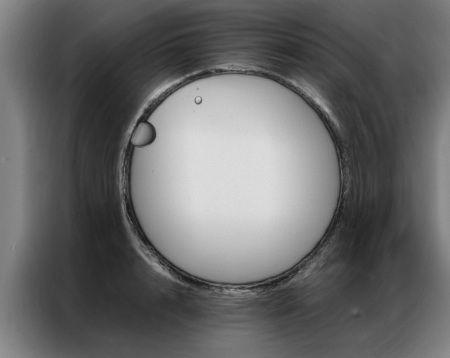 X0000087310848200704200716