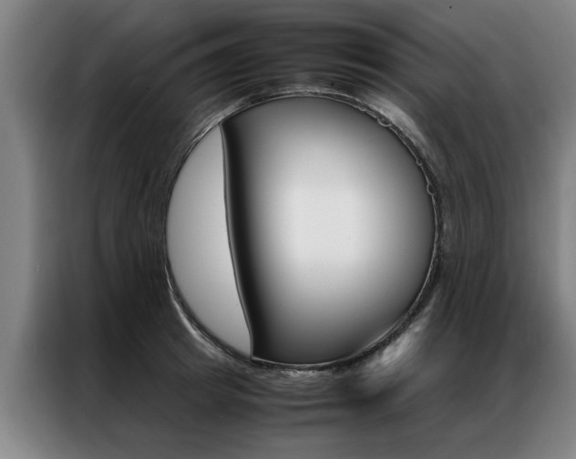 X0000087310849200704200716