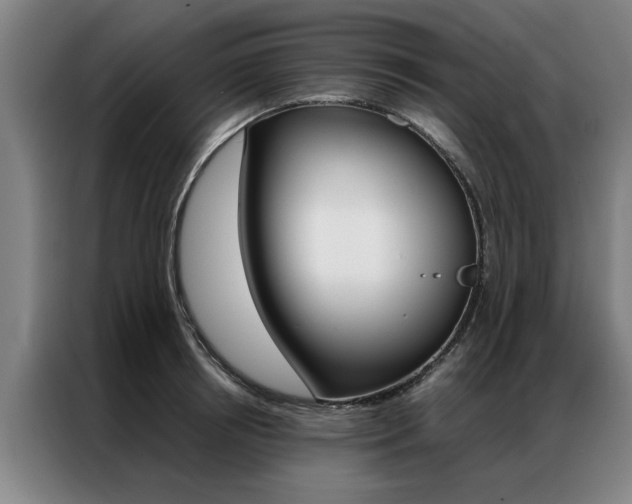 X0000087310850200704200716