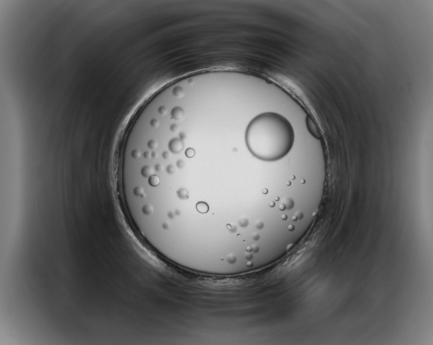 X0000087310851200704200716