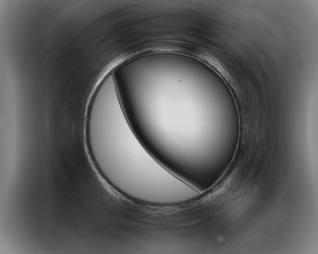 X0000087310853200704200716