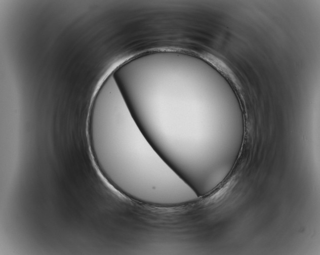 X0000087310855200704200716