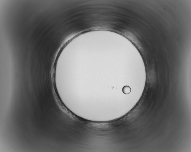 X0000087310856200704200716