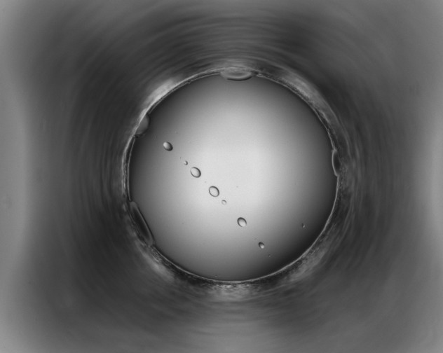 X0000087310858200704200716
