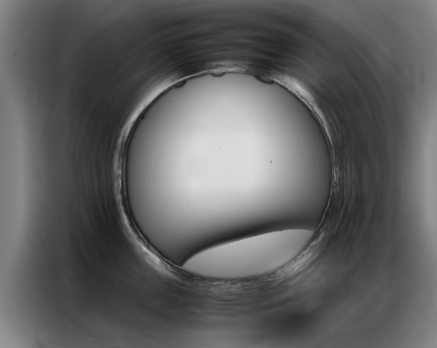 X0000087310859200704200716