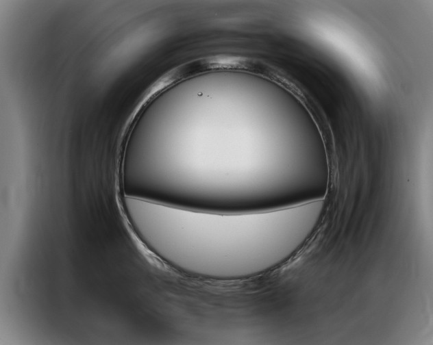 X0000087310861200704200716