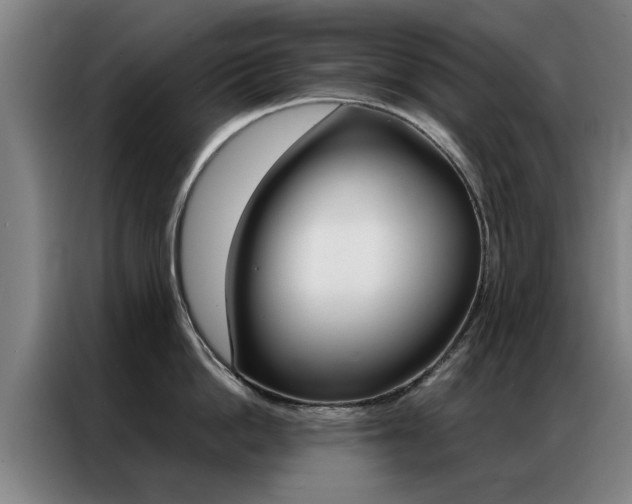 X0000087310862200704200716