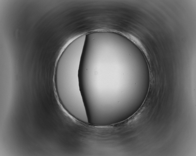 X0000087310863200704200716