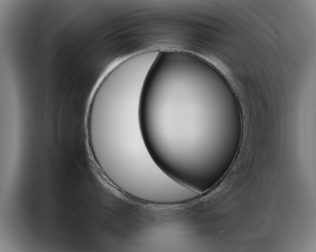 X0000087310864200704200716