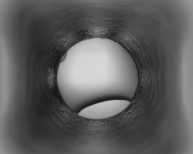 X0000087310866200704200716