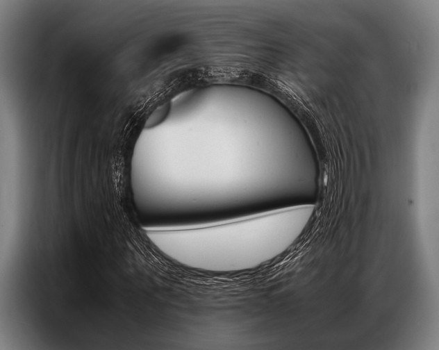 X0000087310867200704200716