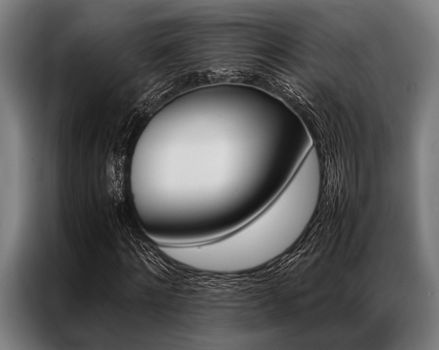 X0000087310868200704200716