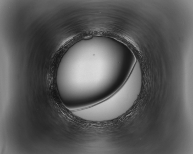 X0000087310872200704200716
