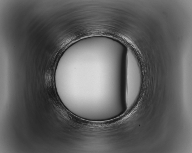 X0000087310873200704200716