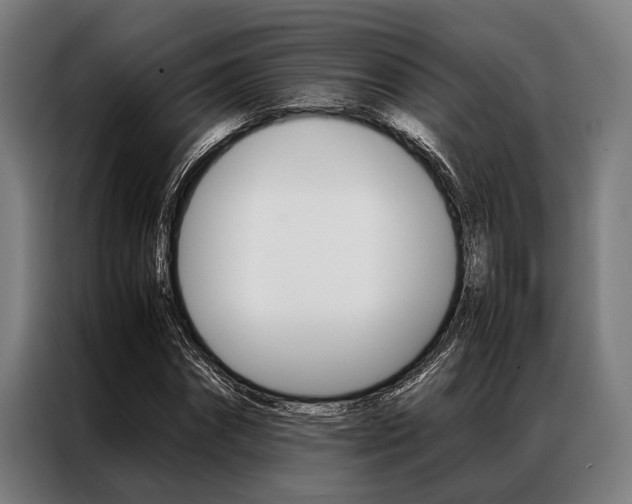 X0000087310874200704200716
