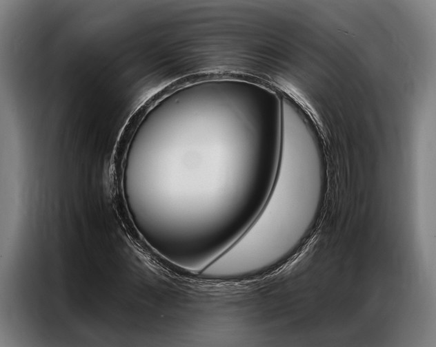 X0000087310876200704200716