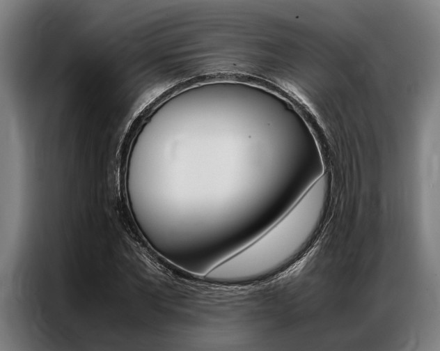 X0000087310877200704200716