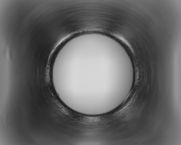 X0000087310878200704200716